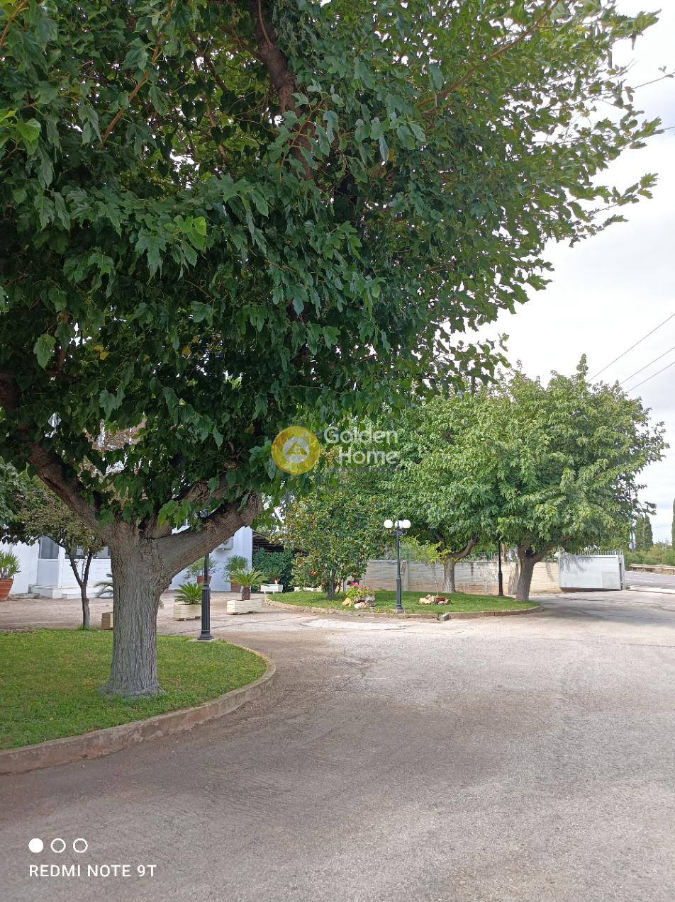 Комерційна нерухомість, 35520 м², 7 000 000$ — FAKTOR